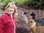 Peru - Phyllis with Alpaca