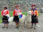Peru - Women with Alpaca