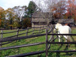 Brandywine Horse Farms