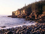 Acadia National Park - Otter Cliffs