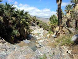 Palm Springs Indian Canyons