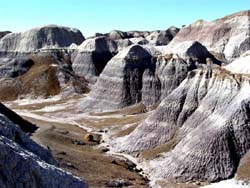 Petrified Forest - Blue Mesa